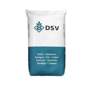 بذر چمن لولیوم DSV